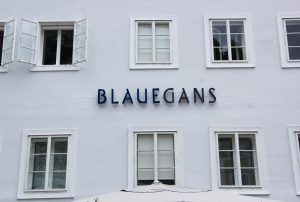 BlaueGans2